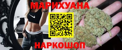 Альфа ПВП Малгобек