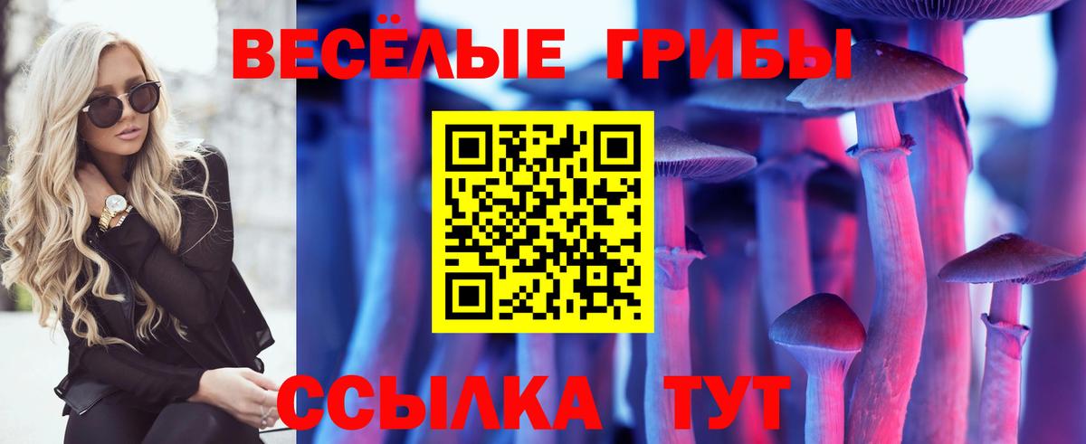 Псилоцибиновые грибы MAGIC MUSHROOMS  Псилоцибиновые грибы ЛСД  Вход с VPN  Арзамас 
